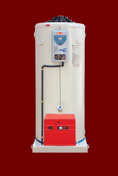 燃氣蒸汽發(fā)生器多少錢 燃氣蒸汽發(fā)生器 地中海新能源聲名遠揚