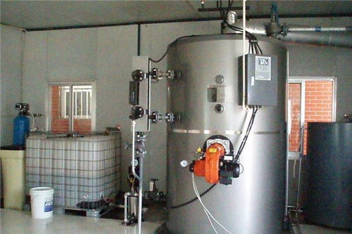 蚌埠小型燃油燃?xì)忮仩t銷售服務(wù)至上 多圖